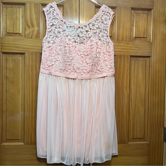 David’s Bridal Coral Lace Dress Size 20 NWT